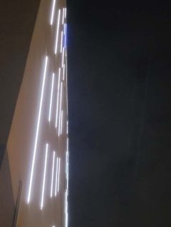 Bodola-Bence_Piros Iskola_7A